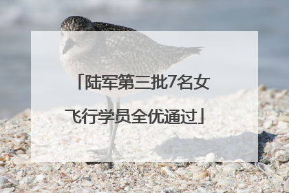 陆军第三批7名女飞行学员全优通过