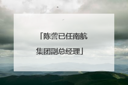 陈詟已任南航集团副总经理
