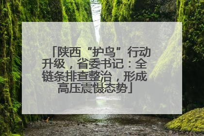 陕西“护鸟”行动升级，省委书记：全链条排查整治，形成高压震慑态势