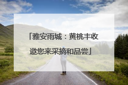 雅安雨城：黄桃丰收 邀您来采摘和品尝