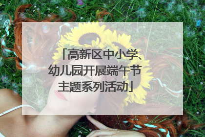 高新区中小学、幼儿园开展端午节主题系列活动