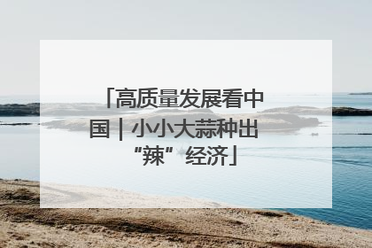 高质量发展看中国｜小小大蒜种出“辣”经济