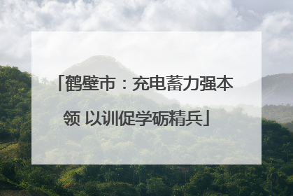 鹤壁市：充电蓄力强本领 以训促学砺精兵