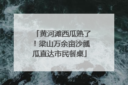 黄河滩西瓜熟了！梁山万余亩沙瓤瓜直达市民餐桌
