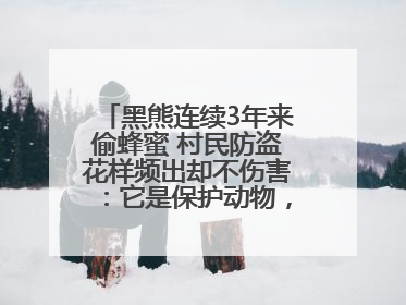 黑熊连续3年来偷蜂蜜 村民防盗花样频出却不伤害：它是保护动物，我有保险兜底