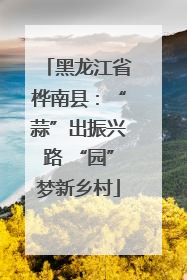 黑龙江省桦南县：“蒜”出振兴路 “园”梦新乡村