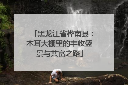黑龙江省桦南县：木耳大棚里的丰收盛景与共富之路