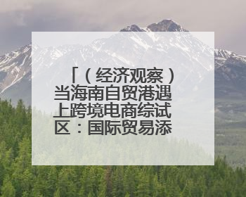 （经济观察）当海南自贸港遇上跨境电商综试区：国际贸易添新动能