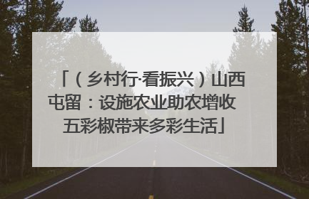 （乡村行·看振兴）山西屯留：设施农业助农增收 五彩椒带来多彩生活
