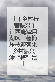 （乡村行·看振兴）江西鹰潭月湖区：杨梅压枝迎客来 乡村振兴添“梅”景