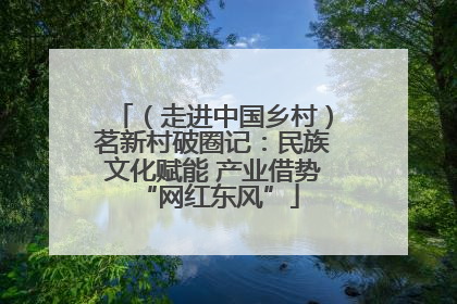 （走进中国乡村）茗新村破圈记：民族文化赋能 产业借势 “网红东风”