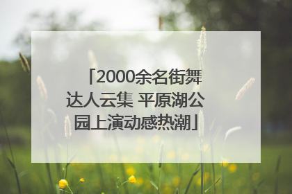 2000余名街舞达人云集 平原湖公园上演动感热潮