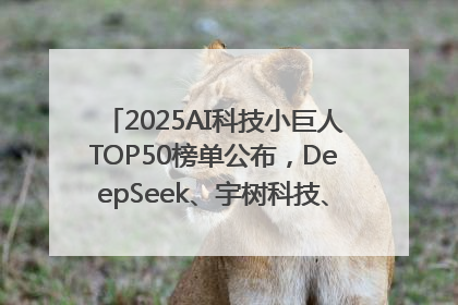 2025AI科技小巨人TOP50榜单公布，DeepSeek、宇树科技、蘑菇车联等企业荣誉上榜