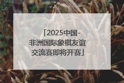 2025中国-非洲国际象棋友谊交流赛即将开赛
