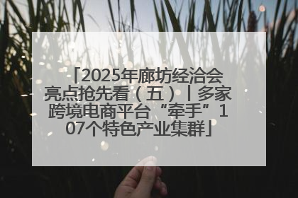 2025年廊坊经洽会亮点抢先看（五）丨多家跨境电商平台“牵手”107个特色产业集群
