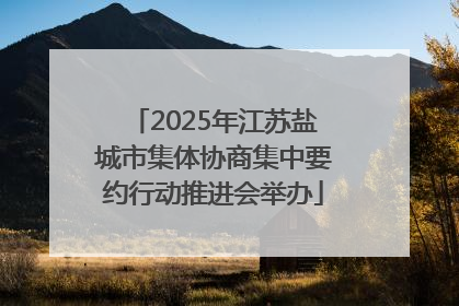 2025年江苏盐城市集体协商集中要约行动推进会举办