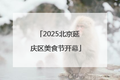 2025北京延庆区美食节开幕