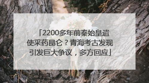 2200多年前秦始皇遣使采药昆仑？青海考古发现引发巨大争议，多方回应