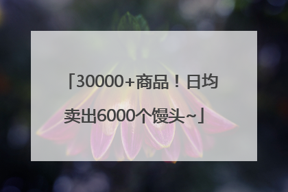30000+商品！日均卖出6000个馒头~