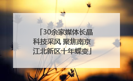 30余家媒体长晶科技采风 聚焦南京江北新区十年蝶变