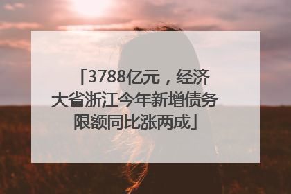 3788亿元，经济大省浙江今年新增债务限额同比涨两成