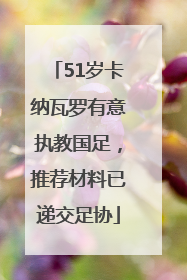 51岁卡纳瓦罗有意执教国足，推荐材料已递交足协