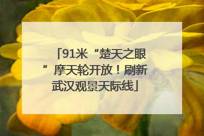 91米“楚天之眼”摩天轮开放！刷新武汉观景天际线