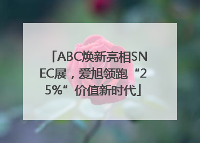 ABC焕新亮相SNEC展，爱旭领跑“25%”价值新时代